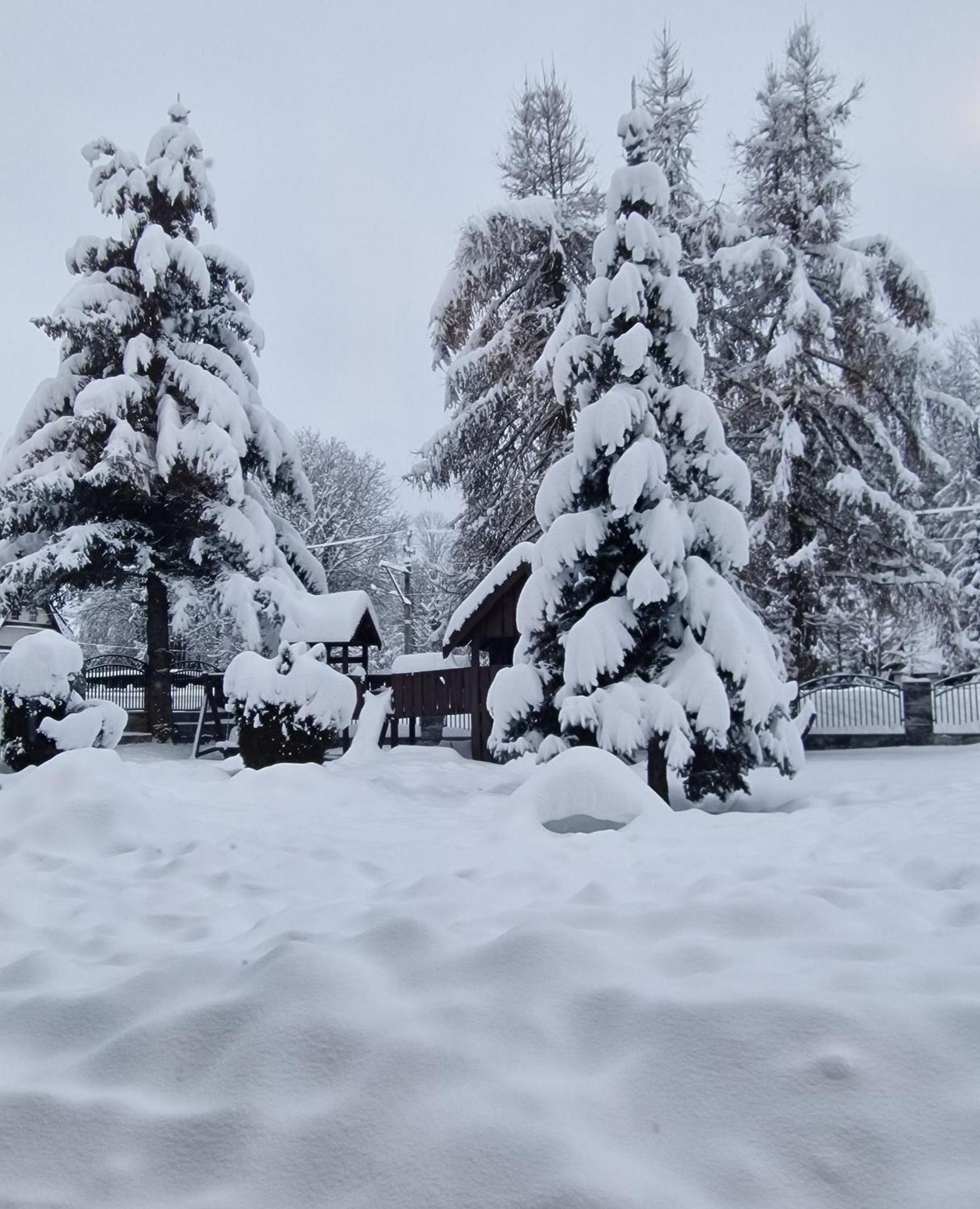 Willa Florynka Biały Dunajec Esterno foto